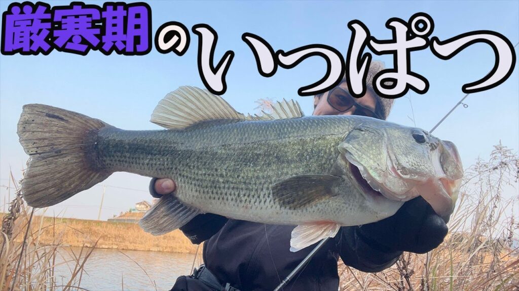【冬のバス釣り】厳寒期に釣れるルアーは本物！【岡山/倉敷川】