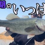 【冬のバス釣り】厳寒期に釣れるルアーは本物！【岡山/倉敷川】