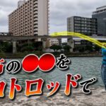 凶暴なメジロザメを都会の川で釣る！