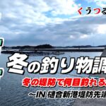 【上天草冬の堤防五目釣り】冬の釣り物調査を樋合新港の堤防先端でして来た結果！#天草釣り #熊本釣り  #チヌ釣り