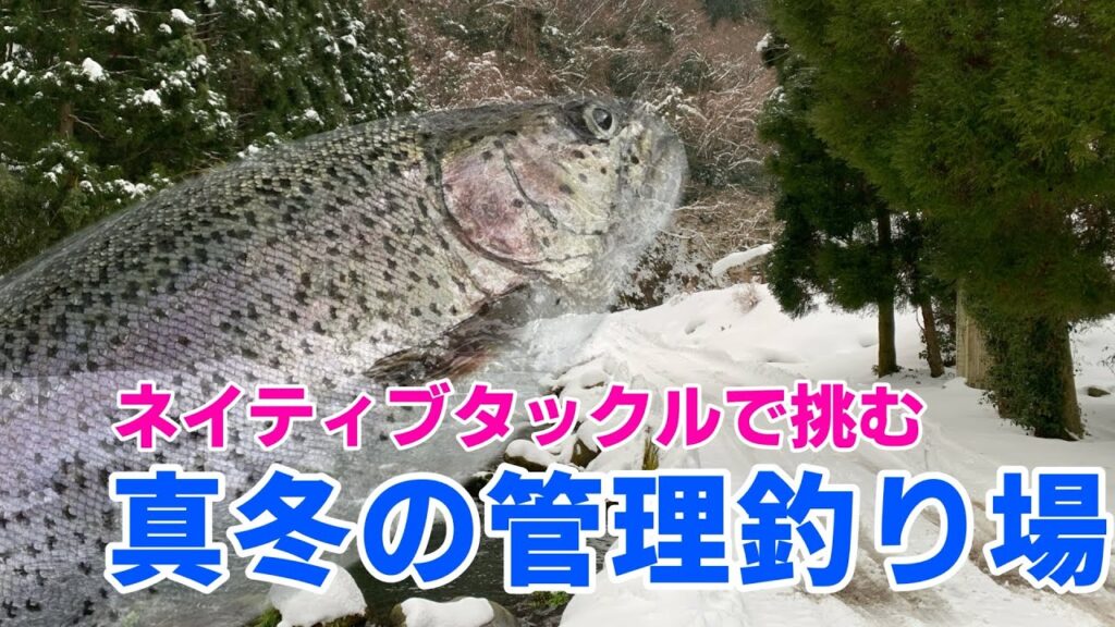 シーズンオフ！ネイティブタックルで挑む真冬の河川型管理釣り場／ニジマス（ミノーイング、スプーン），おすすめルアー公開！