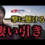 冬の遠州灘サーフで魂のルアー釣り🔥