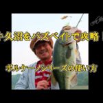 ノリーズ　牛久沼をバズベイトで攻略！　田辺哲男