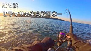 釣り人憧れのターゲット「ヒラマサ」の魚影が日本一濃い海で釣りをすると‥