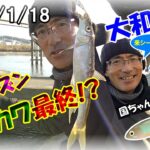 【寒バエ・オイカワ】ヤバい！大和川のオイカワ釣り今シーズン最後!?もう大移動したなぁ・・・白サシで居残りオイカワを釣る！これで釣れなきゃもう居ません(^^;)国ちゃん&ケイちゃん釣行シリーズ