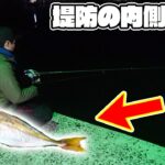 アジの回遊に合わせて海へ落とすとアイツが現れた！！