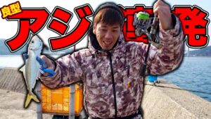 堤防の足元で良型のアジが爆釣!泳がせ釣りで見たこともない生き物が…!?