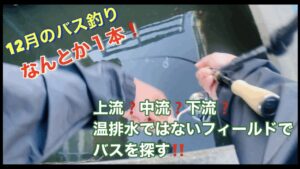 【びん沼バス釣り】冬のブラックバスを釣る方法❗️✨