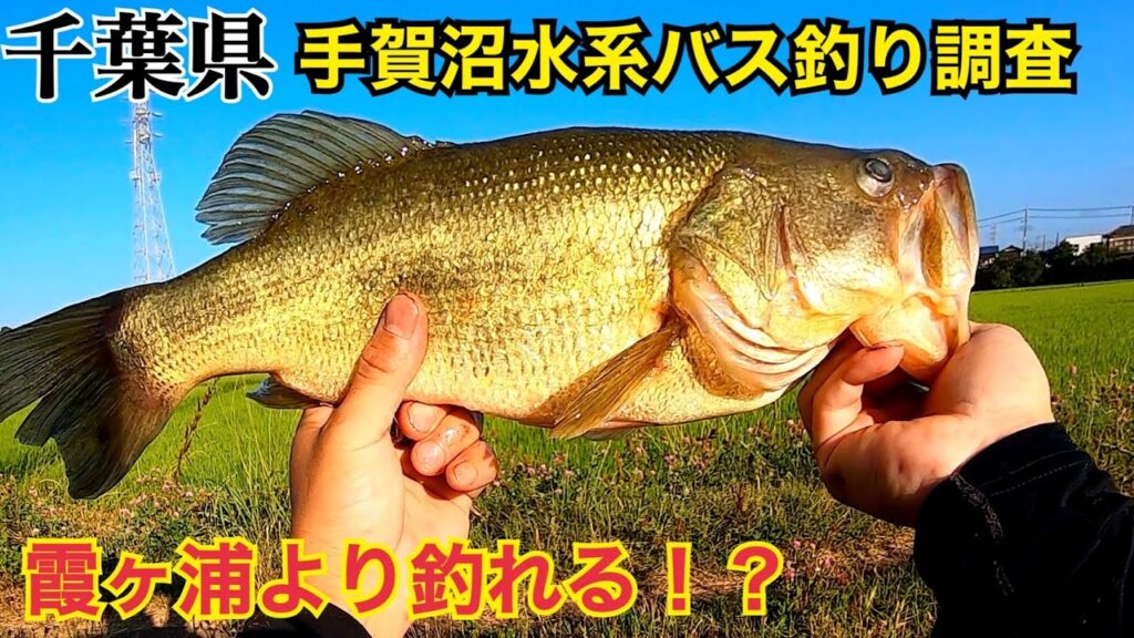 霞ヶ浦より釣れる！？手賀沼水系で バス釣り　オカッパリ