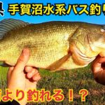 霞ヶ浦より釣れる！？手賀沼水系で バス釣り　オカッパリ