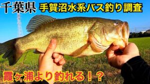 霞ヶ浦より釣れる!?手賀沼水系で バス釣り オカッパリ
