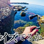 【穴釣り】大物を求めて長旅をしてみました