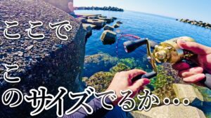 【穴釣り】大物を求めて長旅をしてみました