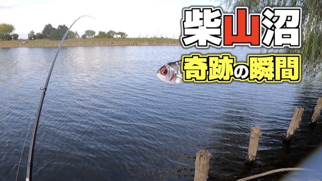 冬の柴山沼 メタルバイブでバス釣り！