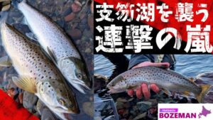 冬の荒食い到来!?支笏湖の静寂をかき消す連続ヒット!凪の状態で激しめのアクションは果たして悪手なのか…?【北海道釣り】【ブラウントラウト釣り】
