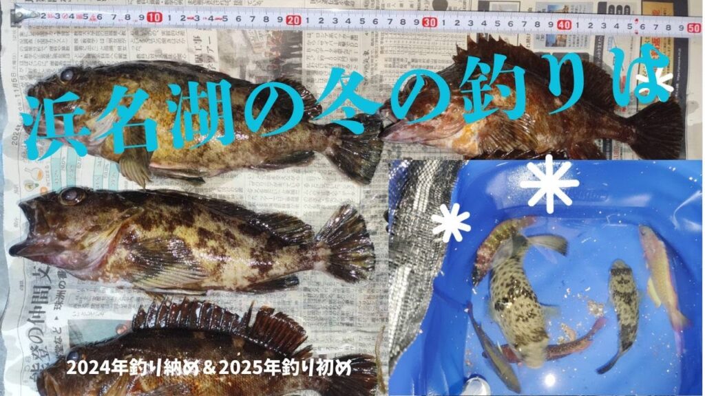 浜名湖の冬の釣り、夜の方が活性が・・・高い？　　　　　　　　　　　　　　　　　　　　　　　　　＃浜名湖釣り　＃冬の釣り　＃釣り　＃カサゴ釣り