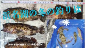 浜名湖の冬の釣り、夜の方が活性が・・・高い？　　　　　　　　　　　　　　　　　　　　　　　　　＃浜名湖釣り　＃冬の釣り　＃釣り　＃カサゴ釣り