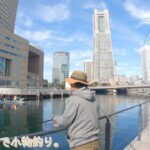 冬の落ちハゼ狙い！みなとみらいでハゼを狙って横浜散歩♪ 神奈川県 横浜で小物釣り。