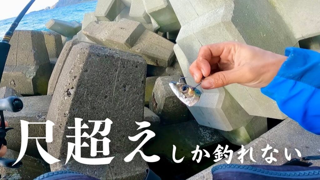 大物しか釣れない穴釣り最強のエサがこれです