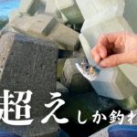 大物しか釣れない穴釣り最強のエサがこれです