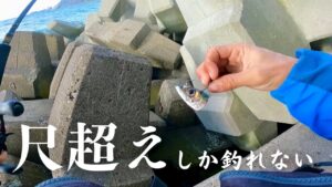 大物しか釣れない穴釣り最強のエサがこれです