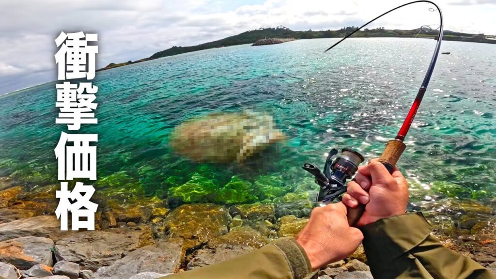 小物釣り中に巨大生物が釣れたので漁協に売ったら妻も驚く金額に！