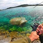小物釣り中に巨大生物が釣れたので漁協に売ったら妻も驚く金額に！