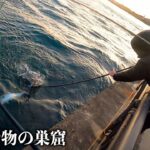 巨大青物の巣窟と化した海釣り公園が凄すぎる！