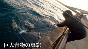 巨大青物の巣窟と化した海釣り公園が凄すぎる！