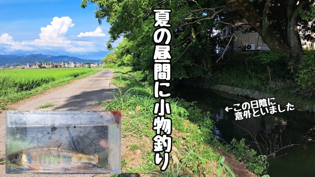 【小物釣り】近所の川で竿を出してみたら意外と釣れました！