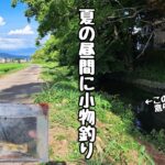【小物釣り】近所の川で竿を出してみたら意外と釣れました！
