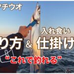 【本牧海づり施設】タチウオ釣り方&仕掛け