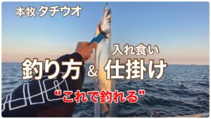 【本牧海づり施設】タチウオ釣り方&仕掛け