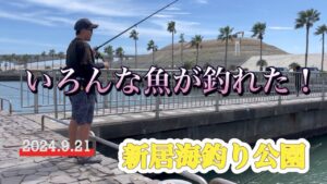 【新居海釣り公園】いろんな魚が釣れた!