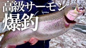 釣れるのは全て巨大な高級サーモン!?新オープンのこの釣り場がヤバ過ぎる【エリアトラウト】【管理釣り場】【あいづフィッシングエリア】