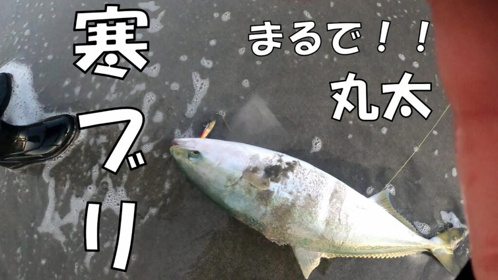 サーフであのルアー投げたら高確率で極太のブリが釣れまくる。脳汁止まんないよ！どうすんの・・・【サーフ釣り】