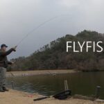 【フライフィッシング】冬の管理釣り場でニジマスを釣る。