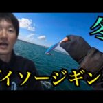 冬の浜名湖でダイソージギング🎣