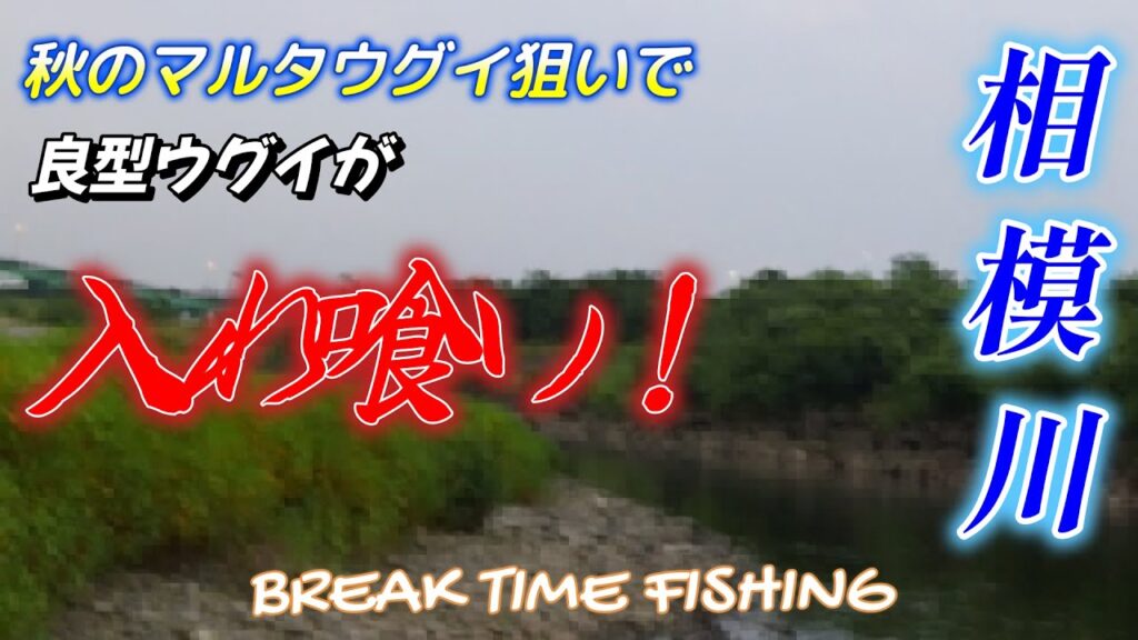 【相模川】フリースタイルで遊ぶ朝の散歩！