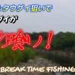 【相模川】フリースタイルで遊ぶ朝の散歩！