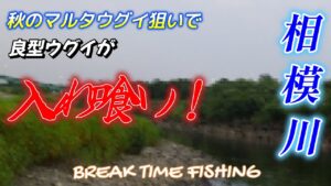 【相模川】フリースタイルで遊ぶ朝の散歩！