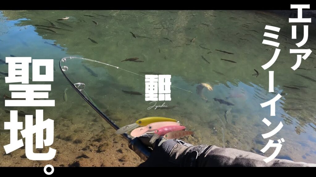 ザッガー、ハンクルシャッド、月虫… エリアミノーイング聖地の手強い鱒達と知恵比べしてきた #エリアトラウト #管理釣り場 #日本イワナセンター