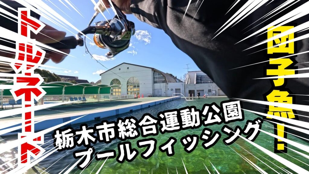 初のプールトラウト攻略！栃プーでの放流狩りはトルネード、悶絶時には団子魚【エリアトラウト】【管理釣り場】【栃木市総合運動公園】#プール #エリアトラウト #栃木市総合運動公園 #釣り