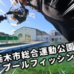 初のプールトラウト攻略！栃プーでの放流狩りはトルネード、悶絶時には団子魚【エリアトラウト】【管理釣り場】【栃木市総合運動公園】#プール #エリアトラウト #栃木市総合運動公園 #釣り