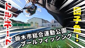 初のプールトラウト攻略！栃プーでの放流狩りはトルネード、悶絶時には団子魚【エリアトラウト】【管理釣り場】【栃木市総合運動公園】#プール #エリアトラウト #栃木市総合運動公園 #釣り