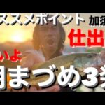 【埼玉バス釣りポイント】フロリダのいる池！仕出沼でバス釣り！【オススメポイント】