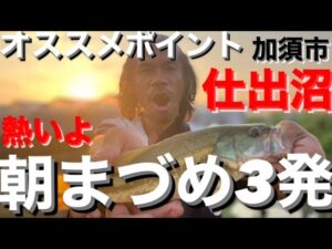 【埼玉バス釣りポイント】フロリダのいる池!仕出沼でバス釣り!【オススメポイント】