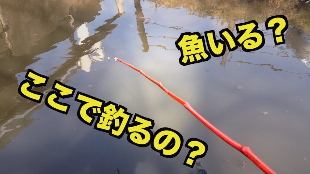 手賀沼周辺の小物釣り ここで？