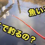 手賀沼周辺の小物釣り ここで？