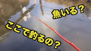 手賀沼周辺の小物釣り ここで？